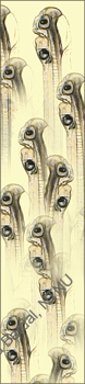 Sargasso Sea