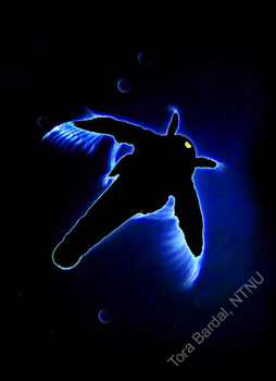black magic