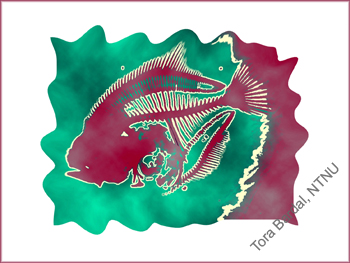 fishprint