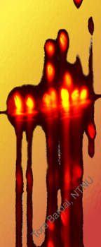 rhodomonas IV