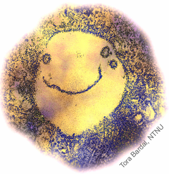 smiley